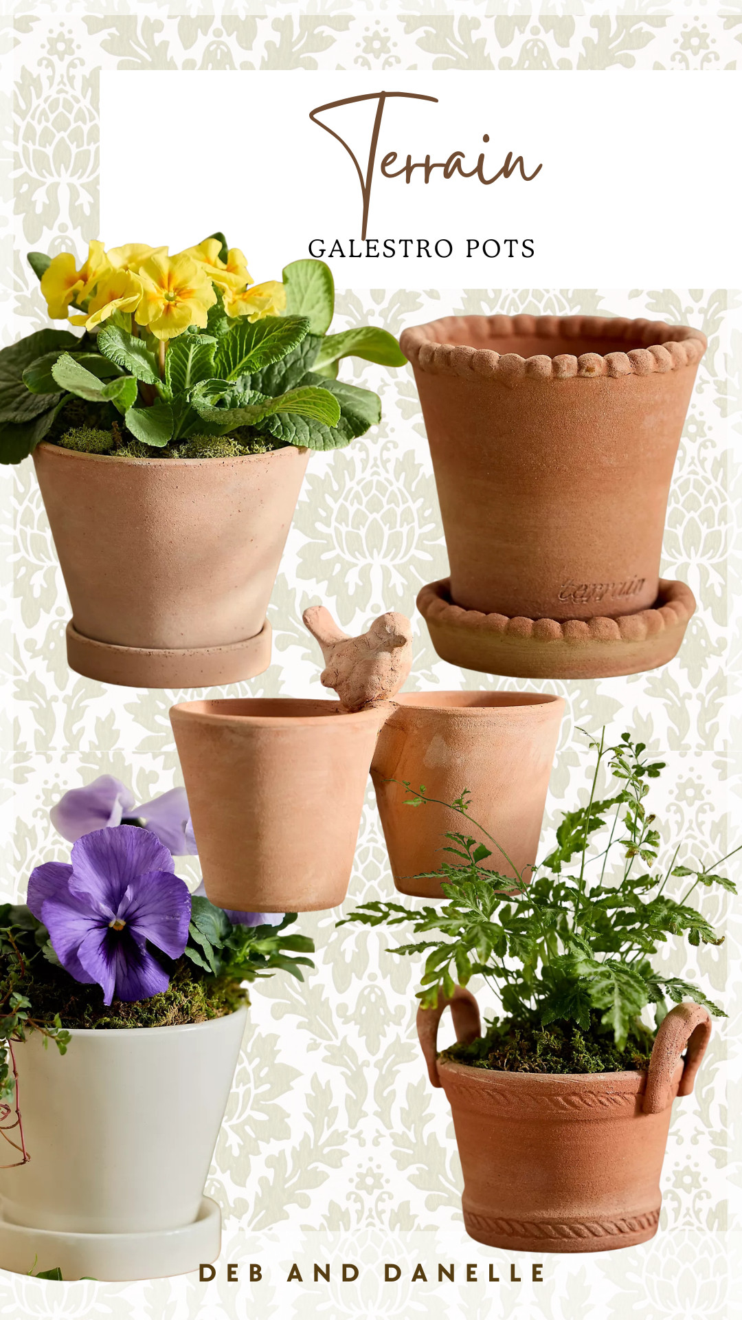 We have the Classic Galestro Pot from @Terrain and it is such a timeless piece for any season. These porous terracotta pottery pieces are handmade and meant for indoor use.  

 #LTKSeasonal #LTKHome