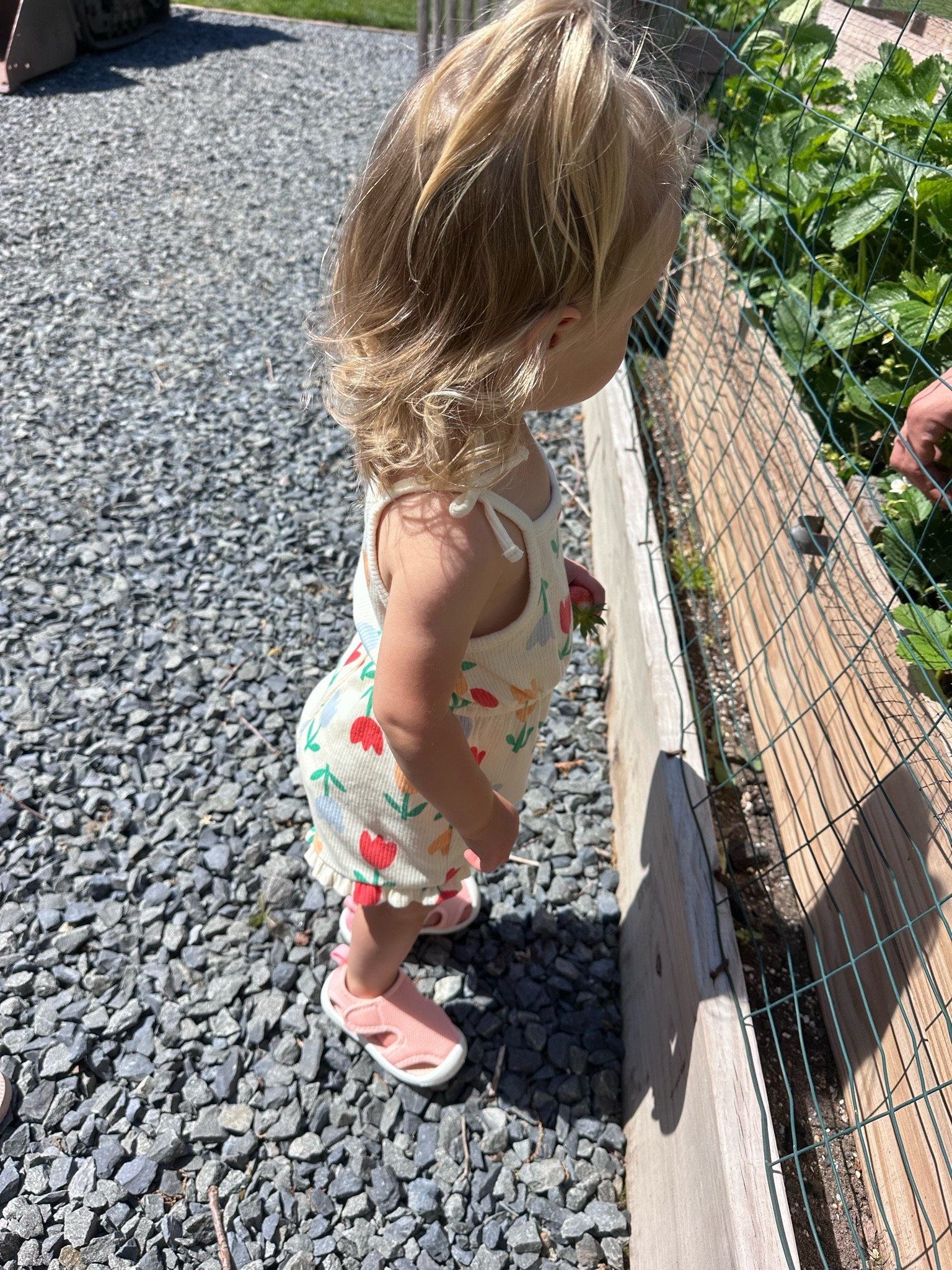 Sweetest little summer look 🌸☀️ This lightweight floral outfit is perfect for warm days, playground adventures, and backyard exploring. Breathable, comfy, and cute enough for all the pictures 📸

Paired with the easiest slip-on shoes for busy toddlers on the move—because we’re all about effortless outfits over here 💕

#LTKkids #toddlerstyle #momlife #summeroutfits #toddlerfashion

#LTKBaby #LTKKids #LTKmomlife