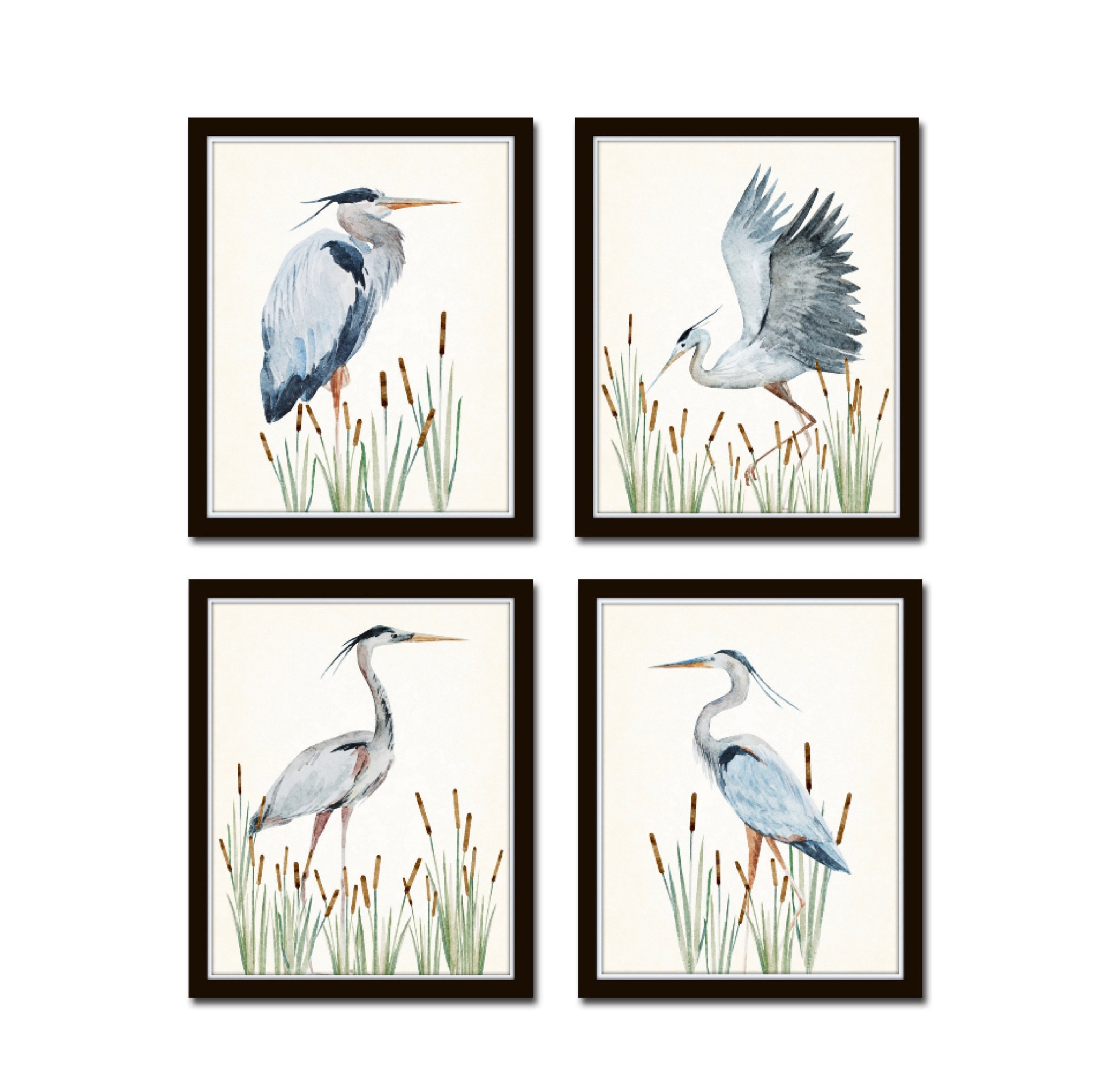 Beautiful Heron bird watercolor prints. Audubon bird prints. Vintage bird prints

#LTKHome