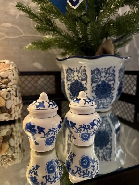 The cutest salt and pepper shakers from Amazon!
Chinoiserie, blue and white home, ginger jar 

#LTKhome #LTKfindsunder50 #LTKparties