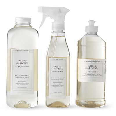 Williams Sonoma White Gardenia Cleaning Set

$24.95 | Williams-Sonoma