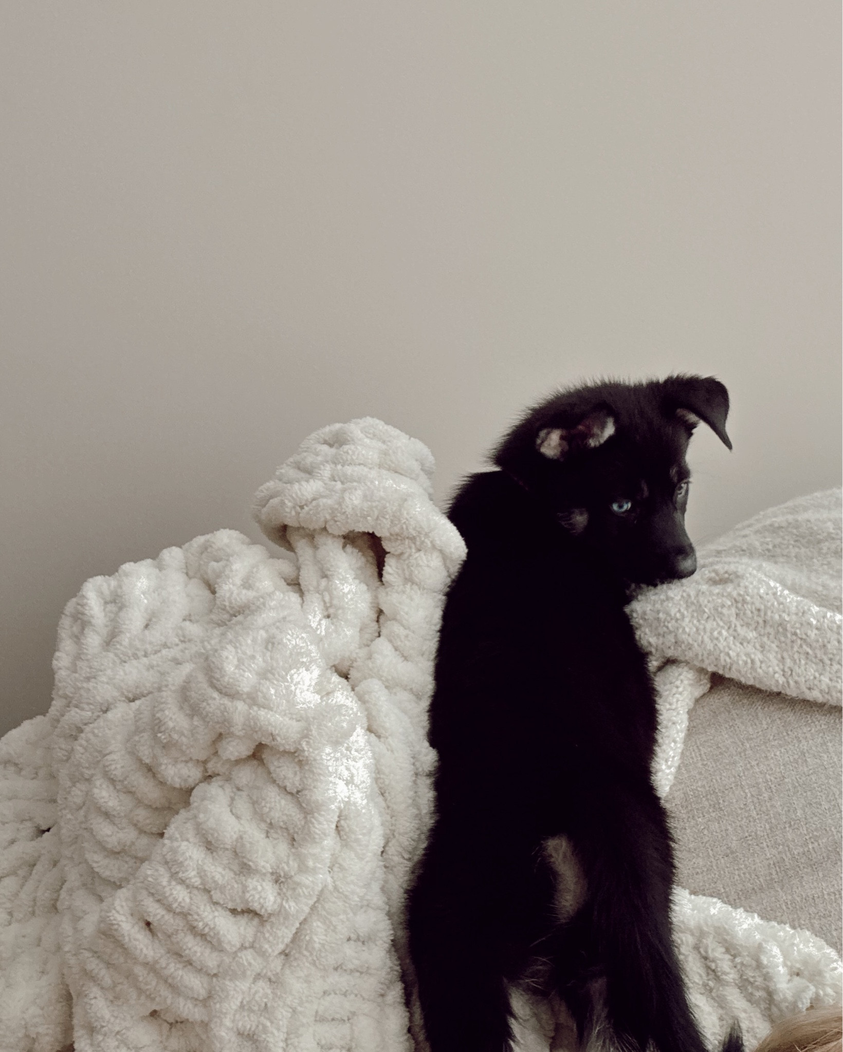 “Oh hi what are you doing here?”




#LTKCyberWeek #LTKdayinmylife #LTKHome