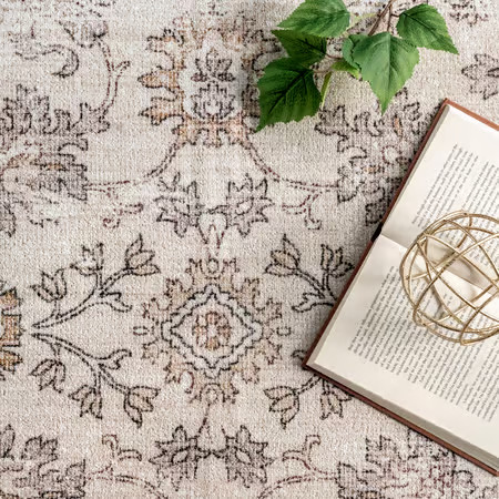 Beige Meena Fading Garden Washable 5' x 8' Area Rug | Rugs USA