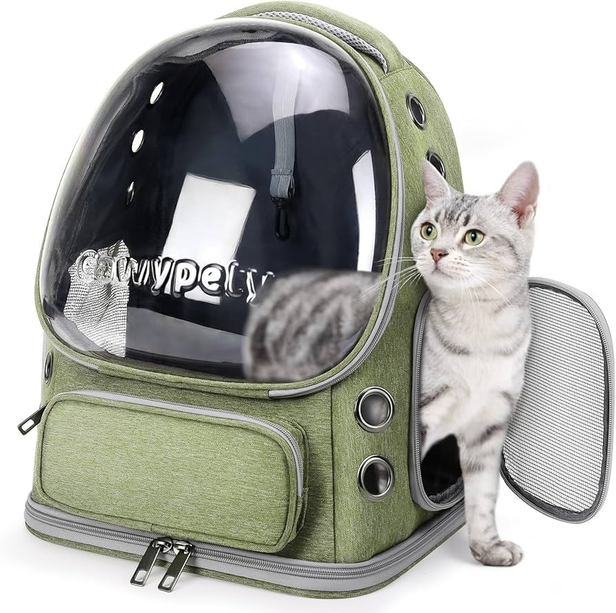 Cat Backpack Carrier, Breathable Cat Carrier Large Space Bubble Pet Backpack for Kitty Small Dog ... | Amazon (US)