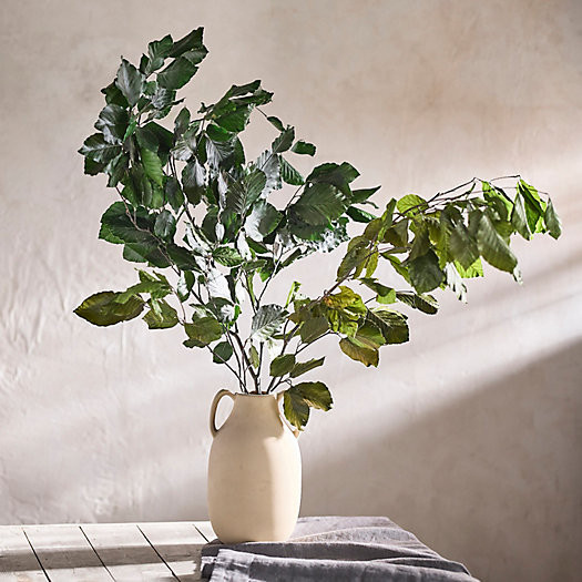 Preserved Beech Leaf Bunch | Terrain