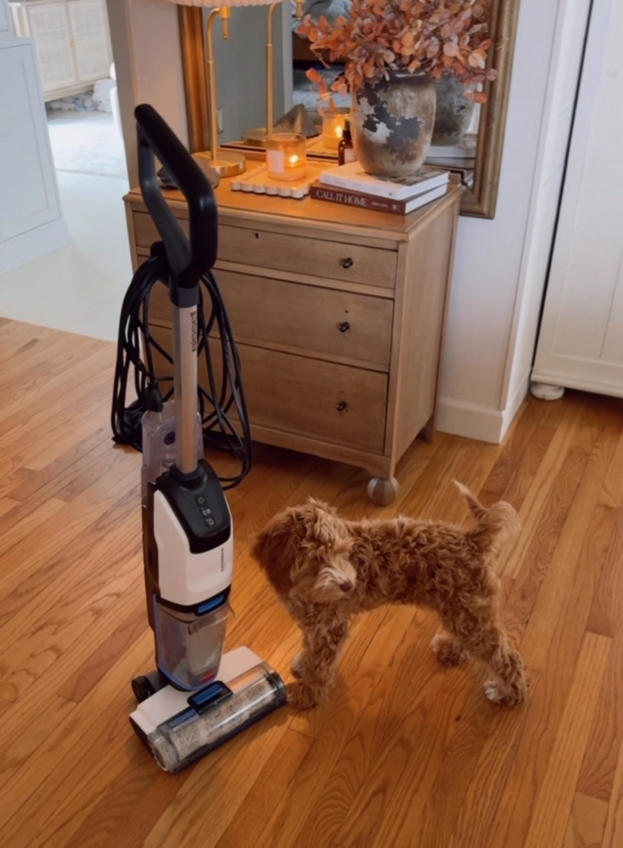 My Bissell cross wave edge is on sale again! I just read that this has the best suction out of all the cross waves and I love that feature. Also, this one gets right up to your baseboards. @hsn #ad #hsninfluencer #lovehsn

#LTKGiftGuide #LTKHome #LTKHoliday