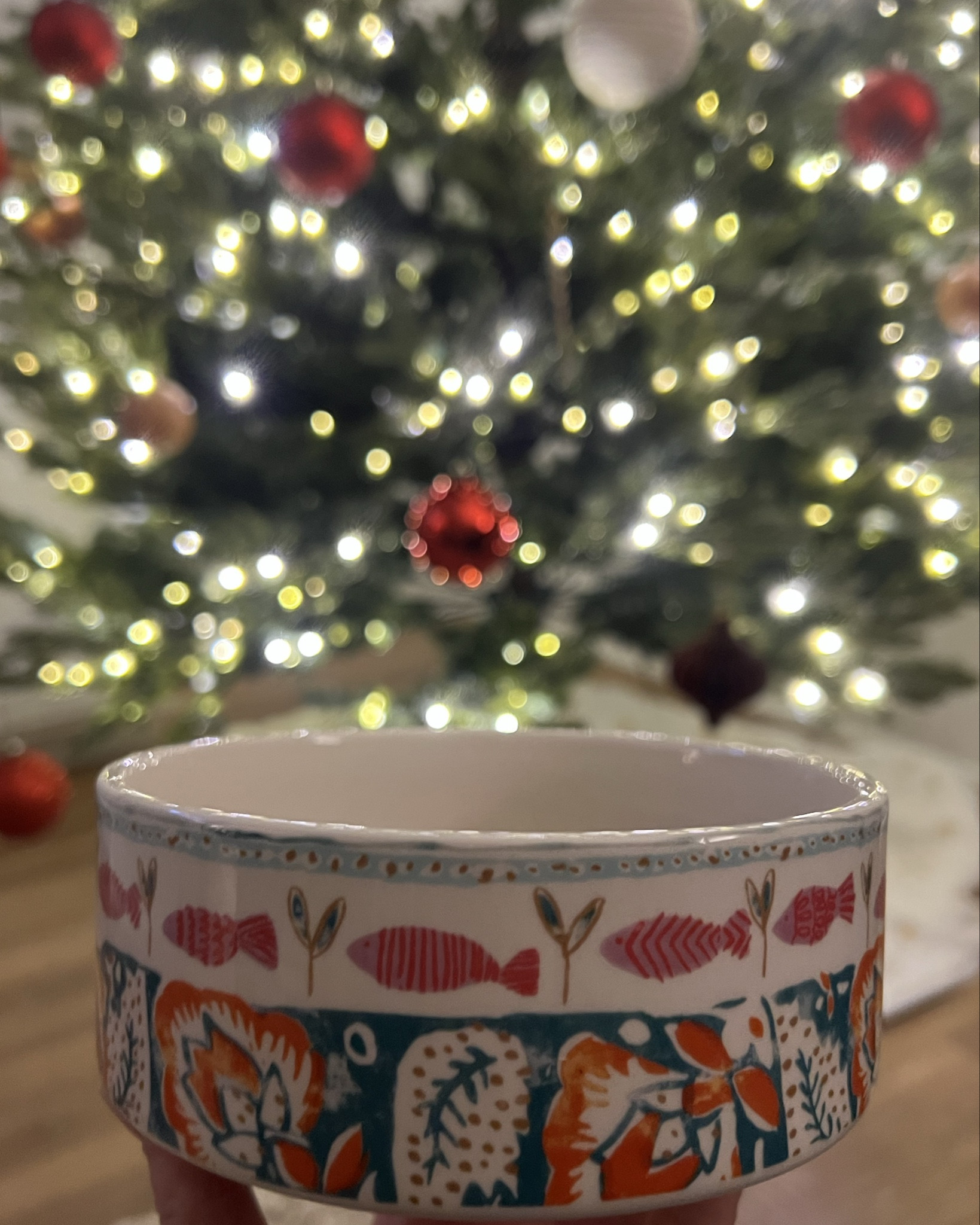 Christmas present for the pups- fish size small 
bone size large 

#LTKHome #LTKFindsUnder50 #LTKHoliday