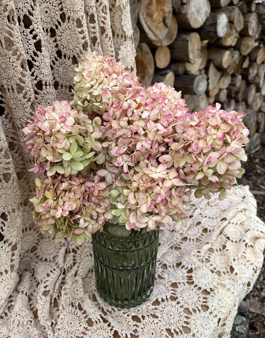 Dried Limelight Hydrangeas Greenish Beige and Rose in Color, Natural Hydrangeas - Etsy | Etsy (US)