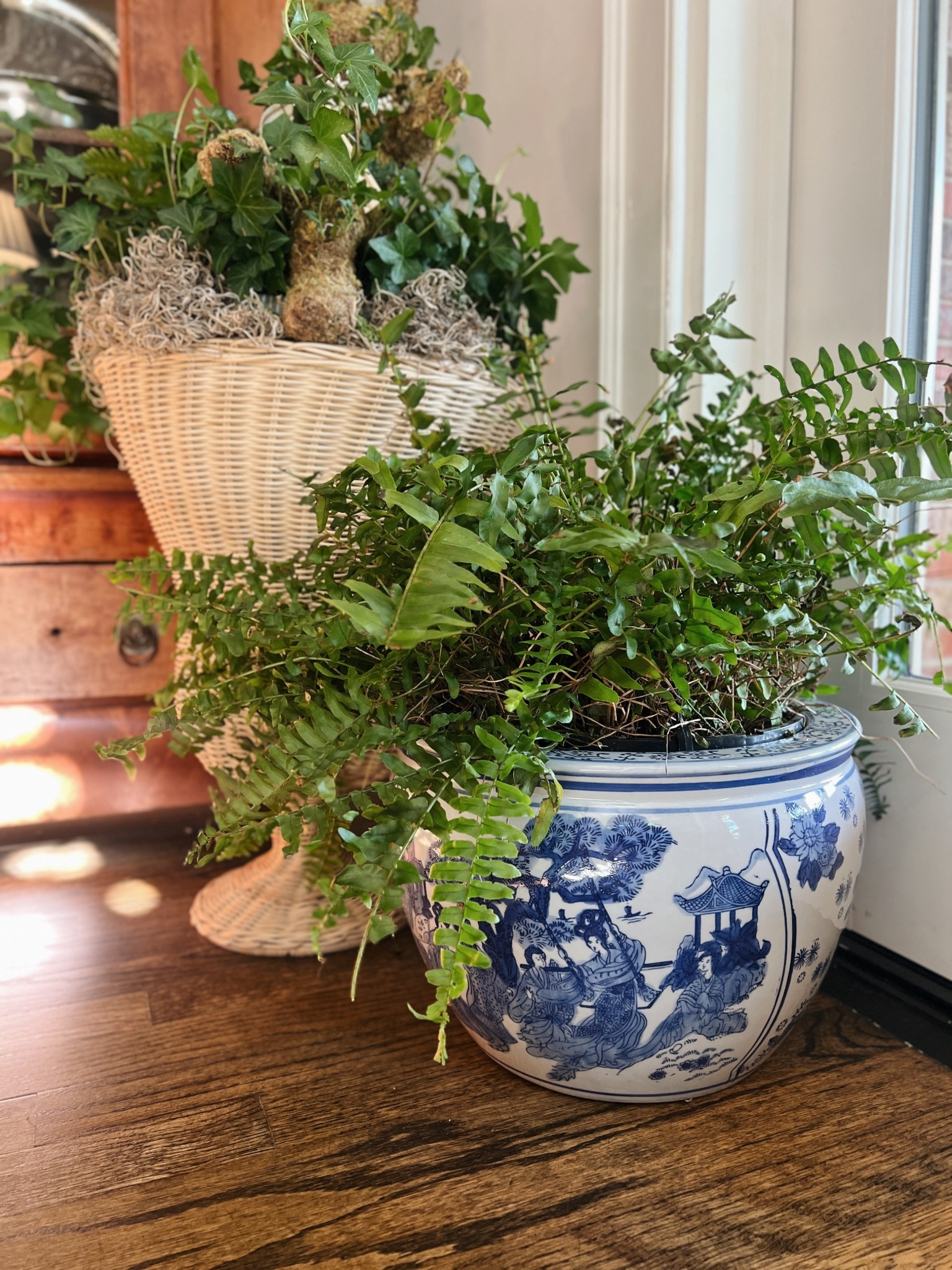 This 12” blue and white indoor planter (no drain hole) is so beautiful and 30% off 

Would be a beautiful gift for a mom or MIL!

#LTKGiftGuide #LTKHome #LTKSaleAlert