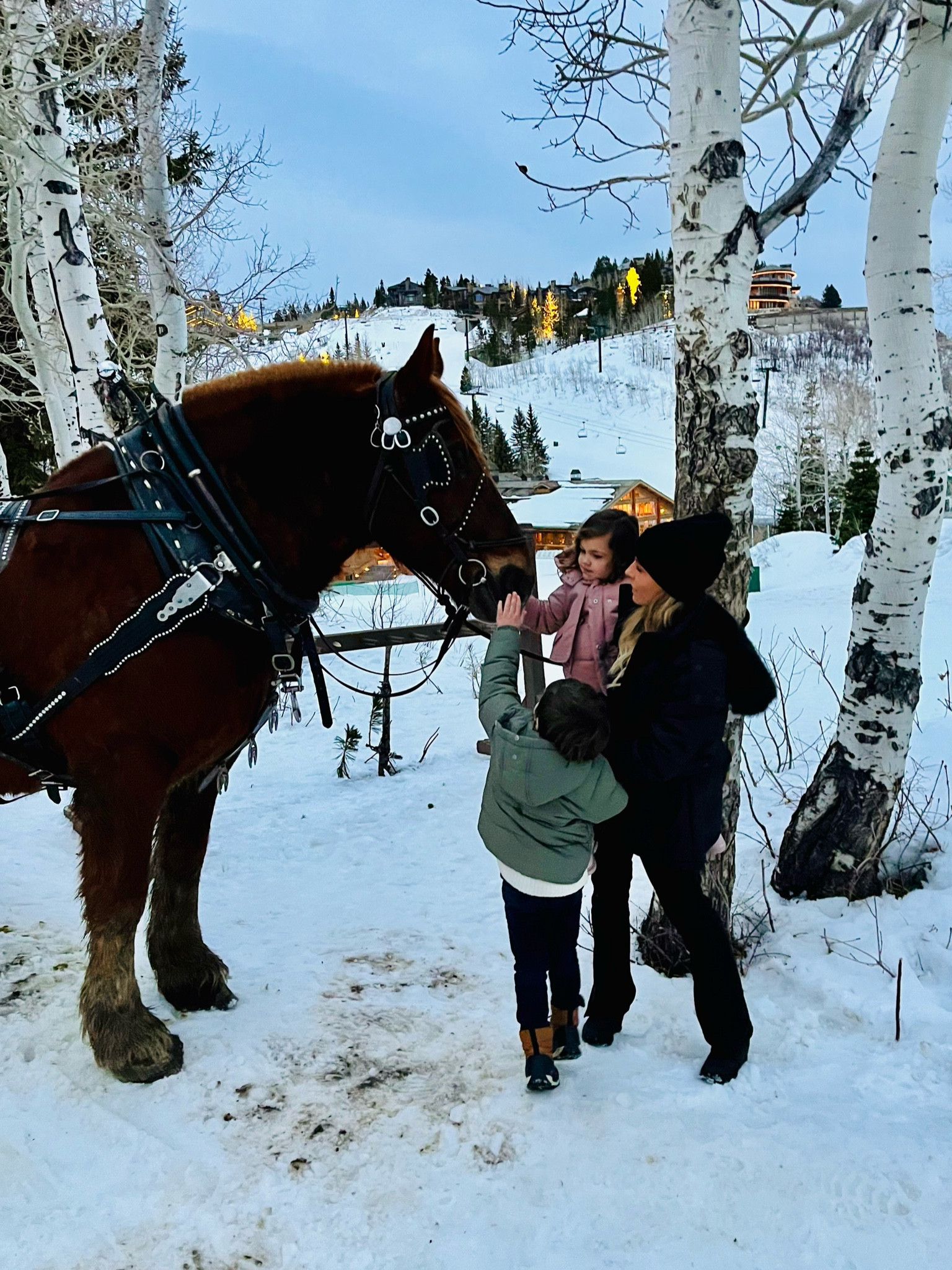 Ski Trip Necessities

#LTKFamily #LTKTravel #LTKMostLoved