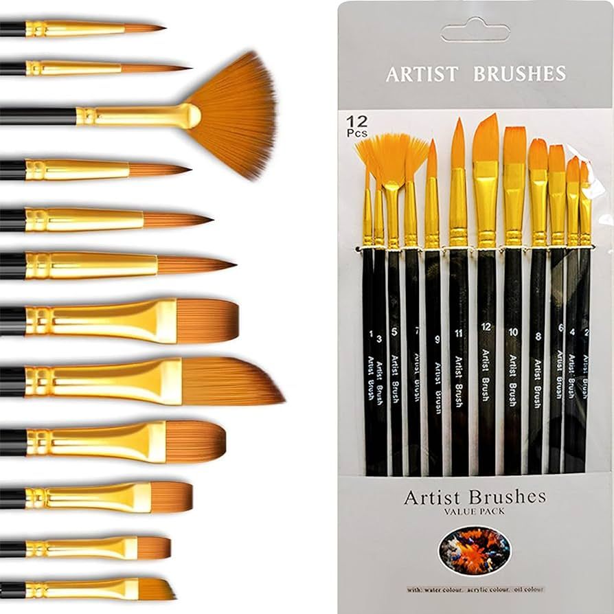 Professional Artist Paint Brush Set for 12 pcs, Paint Brushes for Acrylic Painting for Beginners ... | Amazon (US)
