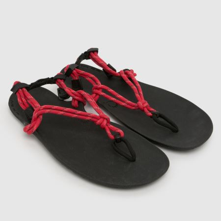 Womens Red XERO Genesis Sandals | schuh | Schuh