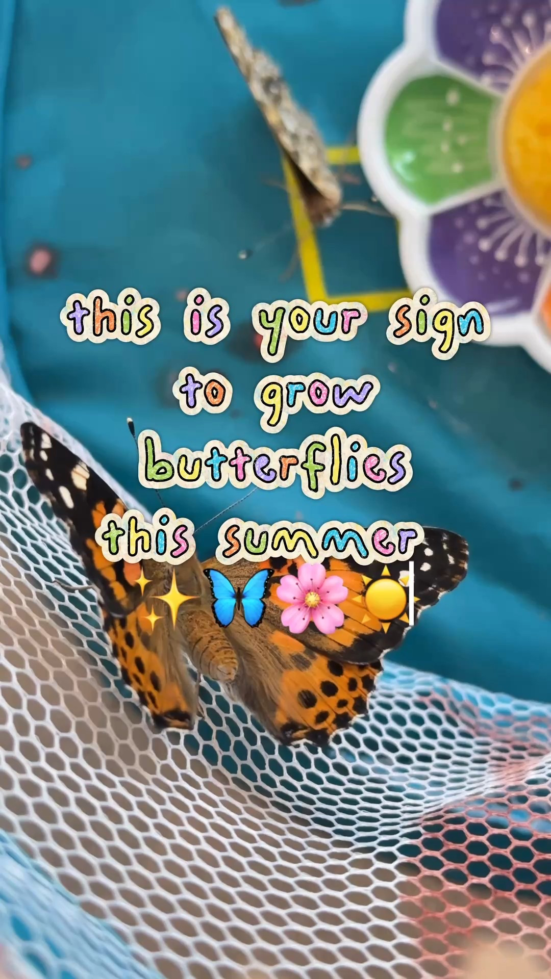 looking for a summer activity that literally gives you butterflies? 🦋

#LTKKids #LTKGiftGuide #LTKSummerEdit