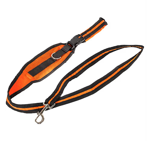 Pet Life Echelon Hands Free and Convertible 2-in-1 Training Dog Leash and Pet Belt with Pouch, Or... | Petco