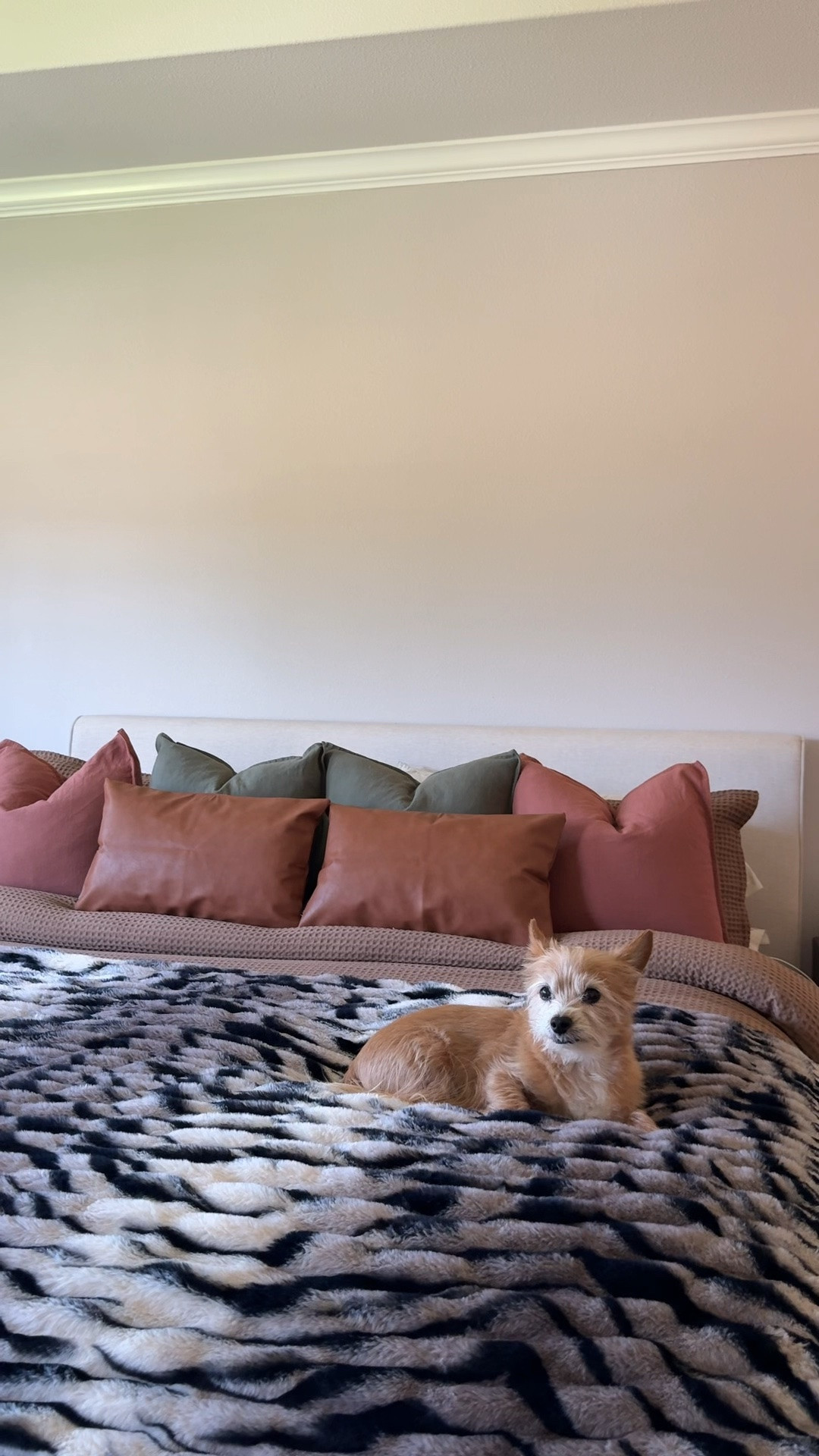 Time for a little bedding reset! I’m feeling like a good moody vibe going into the fall 🤎🍁🍂

#LTKHome #LTKOver40