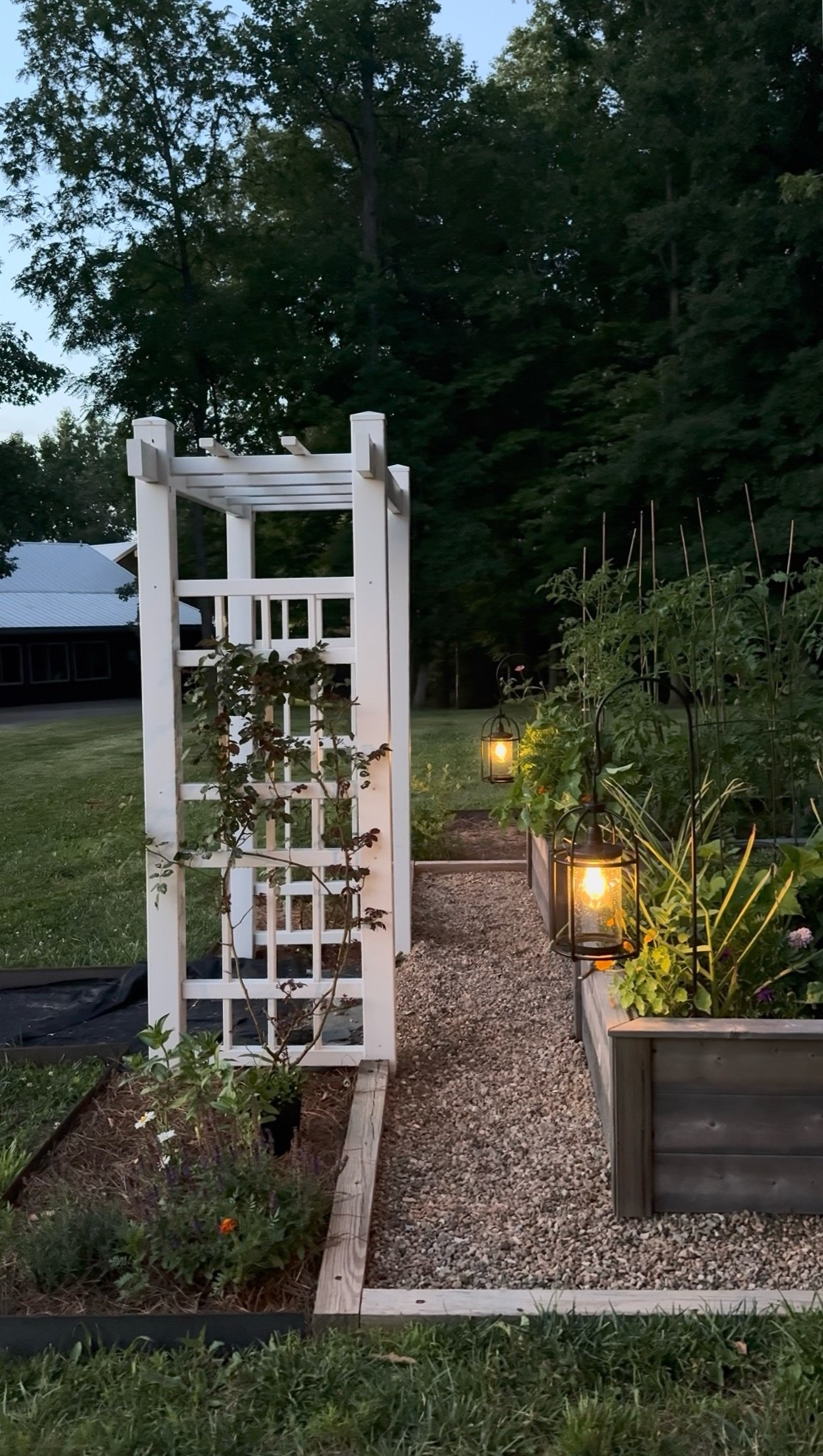 Love these solar lights in my garden

#LTKdayinmylife #LTKSeasonal #LTKHome