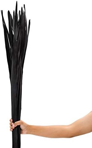 LEEWADEE Palm Leaves – Loose and Colored Decor Twigs for Floor Vases, Naturally Dried Arrangeme... | Amazon (US)