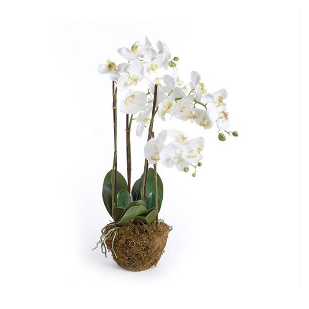 White Faux Orchid Drop-In | Cailini Coastal