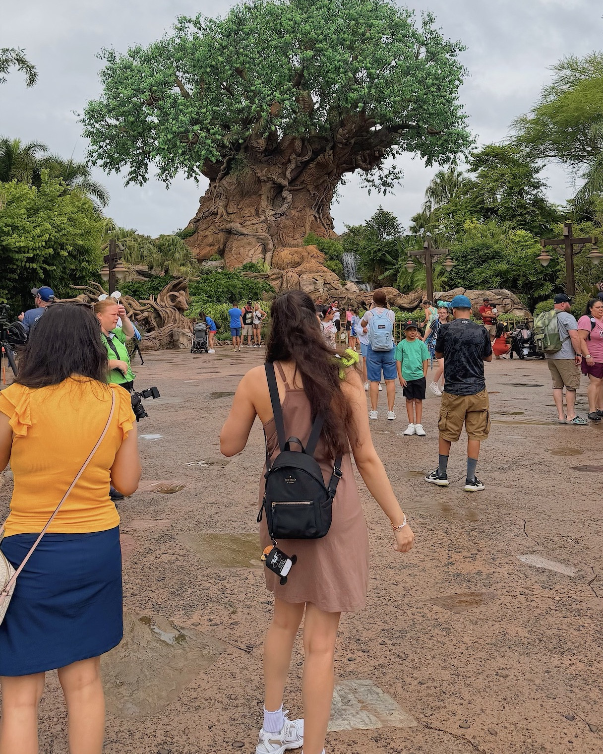 my favorite outfit for animal kingdom! 🦒🤎

#LTKTravel #LTKActive #LTKU