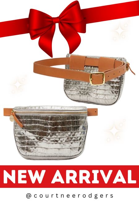 New Arrival Clare V Metallic Croc Belt bag!!! ✨🎁 Such a beautiful bag and perfect as a Christmas gift! 

Christmas, gifts for her, gift guide, belt bag, metallic bags 

#LTKitbag #LTKGiftGuide #LTKstyletip