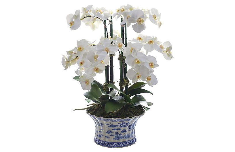 22" Phalaenopsis Orchid w/ Vessel, Faux | One Kings Lane