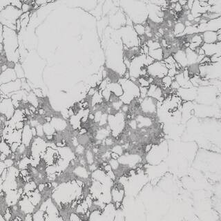 STONEMARK 8 in. x 12 in. Quartz Countertop Sample in Arctic Arabescato OQ90 - The Home Depot | The Home Depot