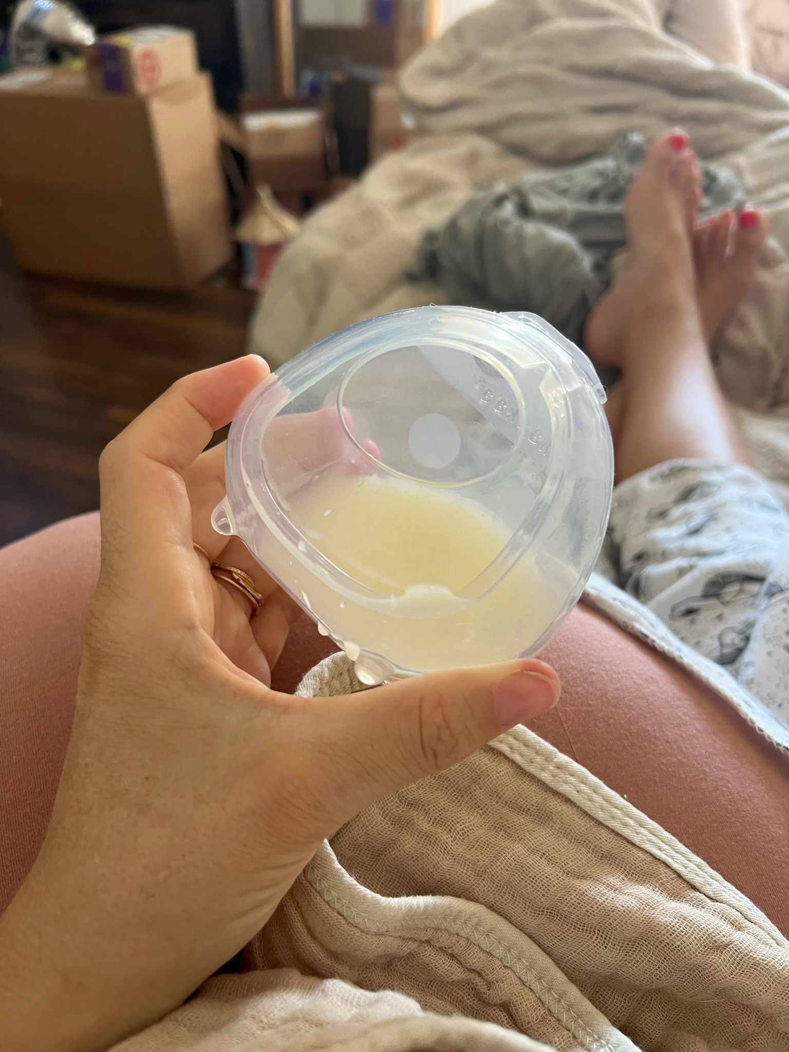 Haakaa ladybug milk collector 