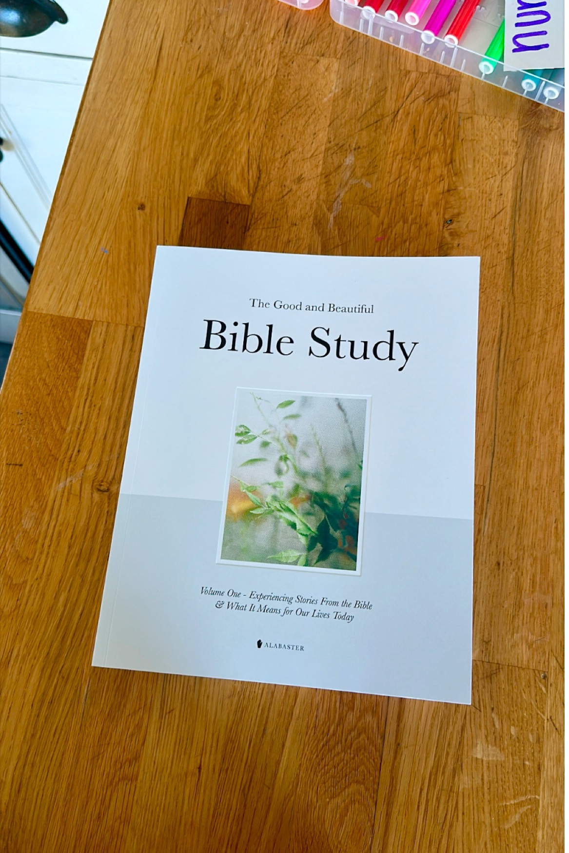 New paperback daily bible study under $30

#LTKFamily #LTKGiftGuide #LTKHome