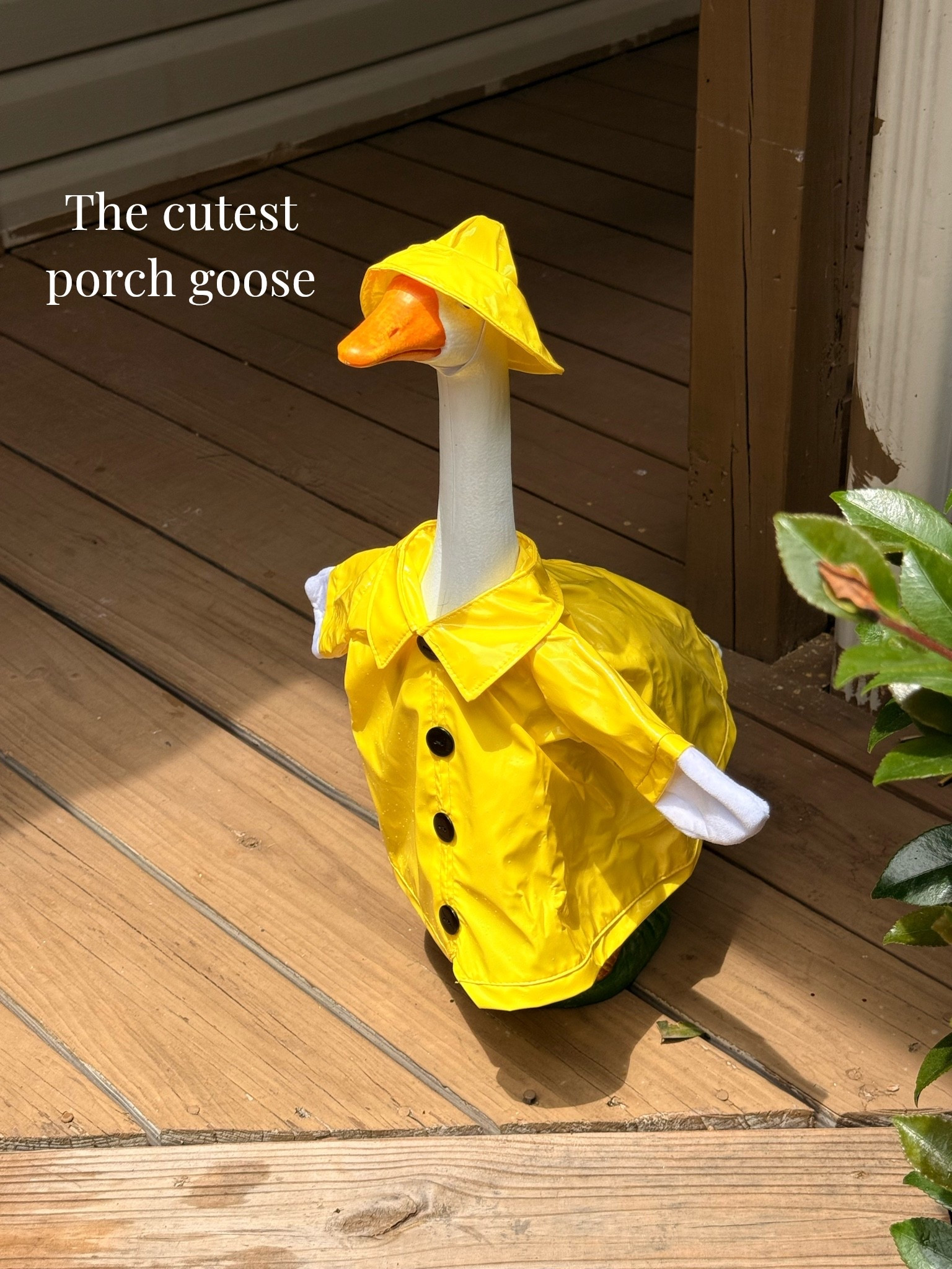 I get so many compliments on my porch goose! They have a few different outfit options. #porchgoose #outdoordecor #memorialday

#LTKHome