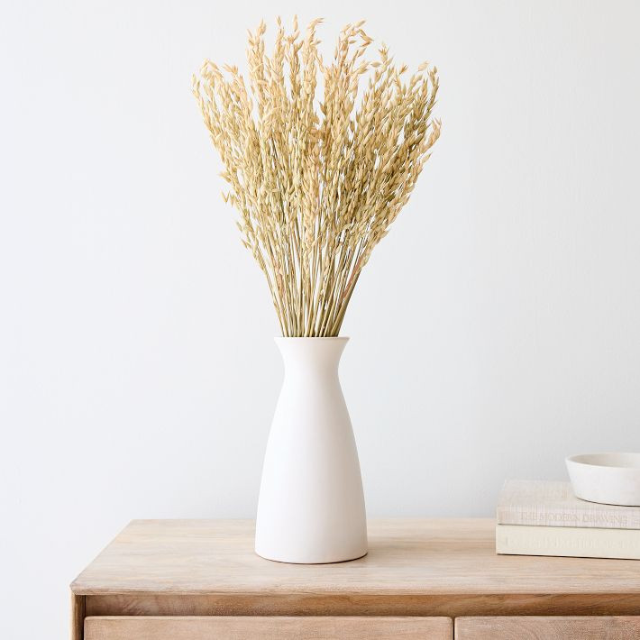 Dried Natural Avena Stems | West Elm (US)