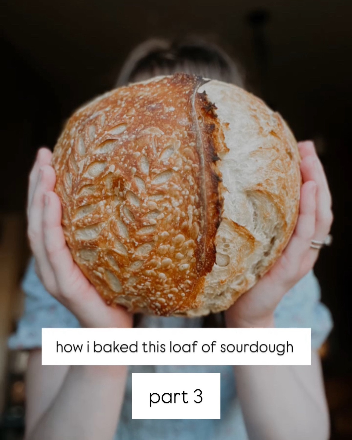 HOW TO BAKE SOURDOUGH PART 3



#LTKStyleTip #LTKHome #LTKSeasonal