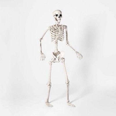 Lifesize Posable Skeleton Halloween Décor - Hyde & EEK! Boutique™ | Target