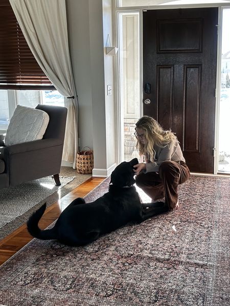 Rugs in our home that we (me & Kona) love. They’re stylish, beautiful, and easily hide the dog hair. Amber Lewis X Loloi Rugs 


#LTKFind #LTKhome #LTKstyletip
