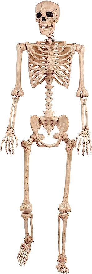 Crazy Bonez Pose-N-Stay Skeleton | Amazon (US)