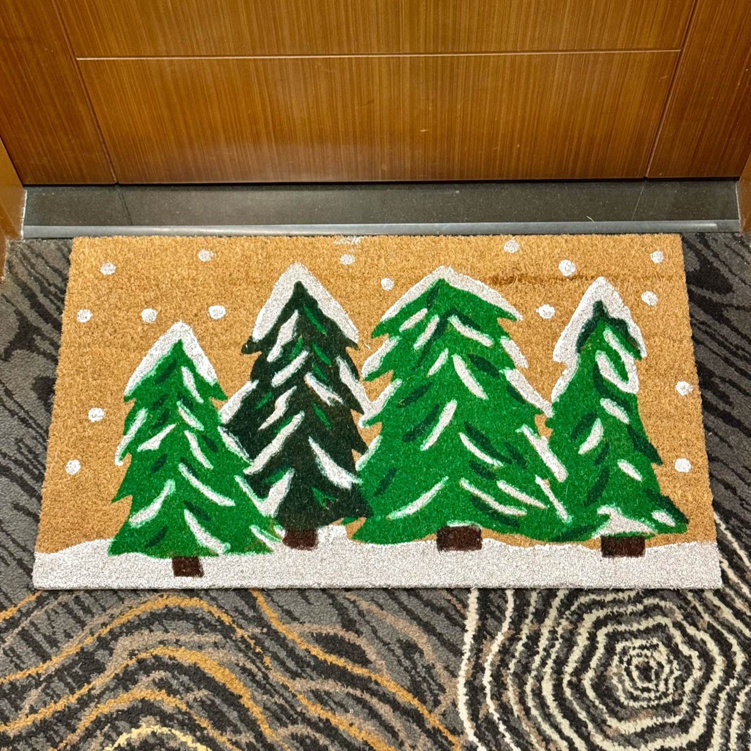 Festive holiday welcome mat! 

#LTKGiftGuide #LTKSeasonal #LTKFindsUnder50