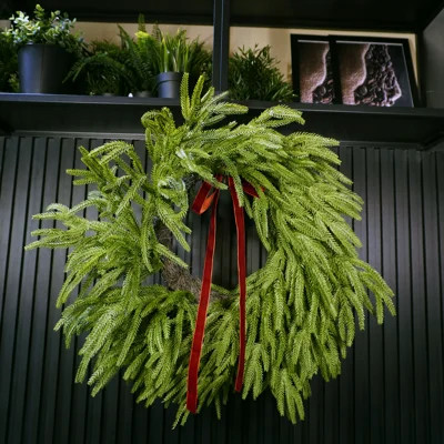 Artificial Norfolk Pine Christmas Wreath With Velvet Bow, Indoor Holiday Greenery Décor | Wayfair North America