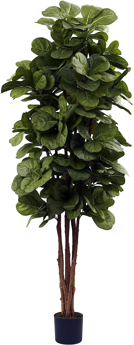 Nearly Natural 6ft Fiddle Leaf Fig Artificial Trees, 72in, Green | Amazon (US)