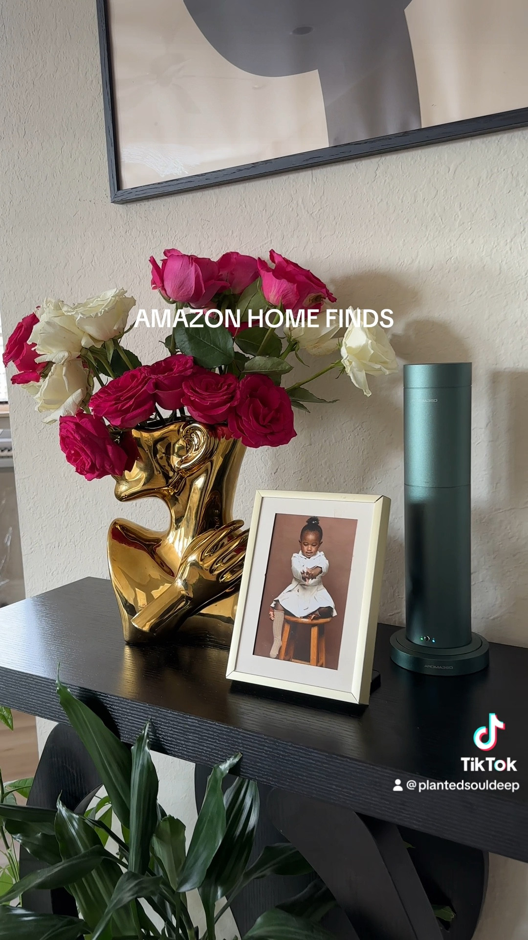 Amazon Home Finds 🪴

#LTKVideo #LTKfindsunder50 #LTKhome