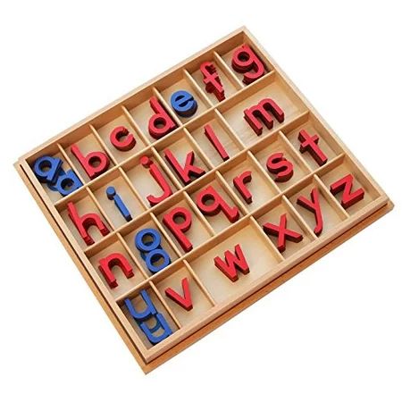 Montessori Language Small Movable Alphabet with Box (Red & Blue) | Walmart (US)