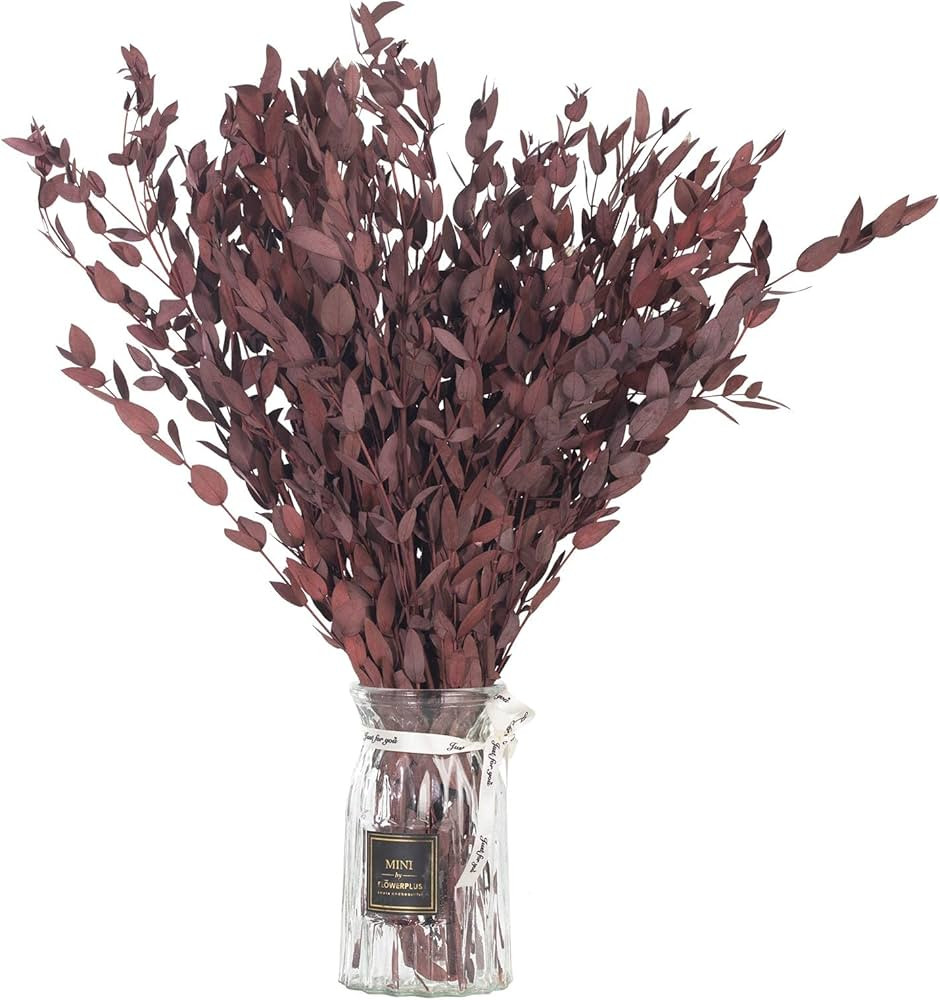Dried Eucalyptus Leaves Preserved Greenery Stems, 8-14 PCS Eucalyptus Garland Branches, 4 OZ Red ... | Amazon (US)