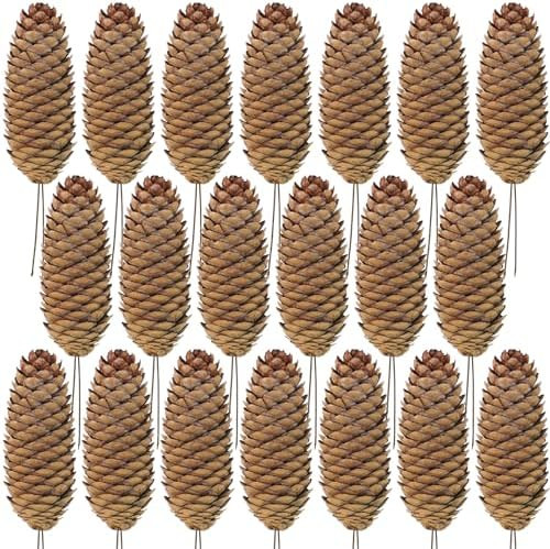 Winlyn 20 Pcs Christmas Natural Pine Cone Picks Rustic Spruce Pine Cones 5.9" Christmas Tree Deco... | Amazon (US)