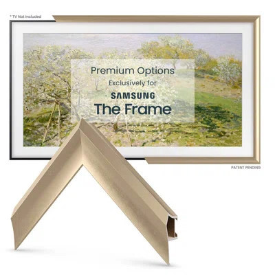 Alloy Prismatic Deco TV Frame for Samsung Frame TV | Wayfair Professional