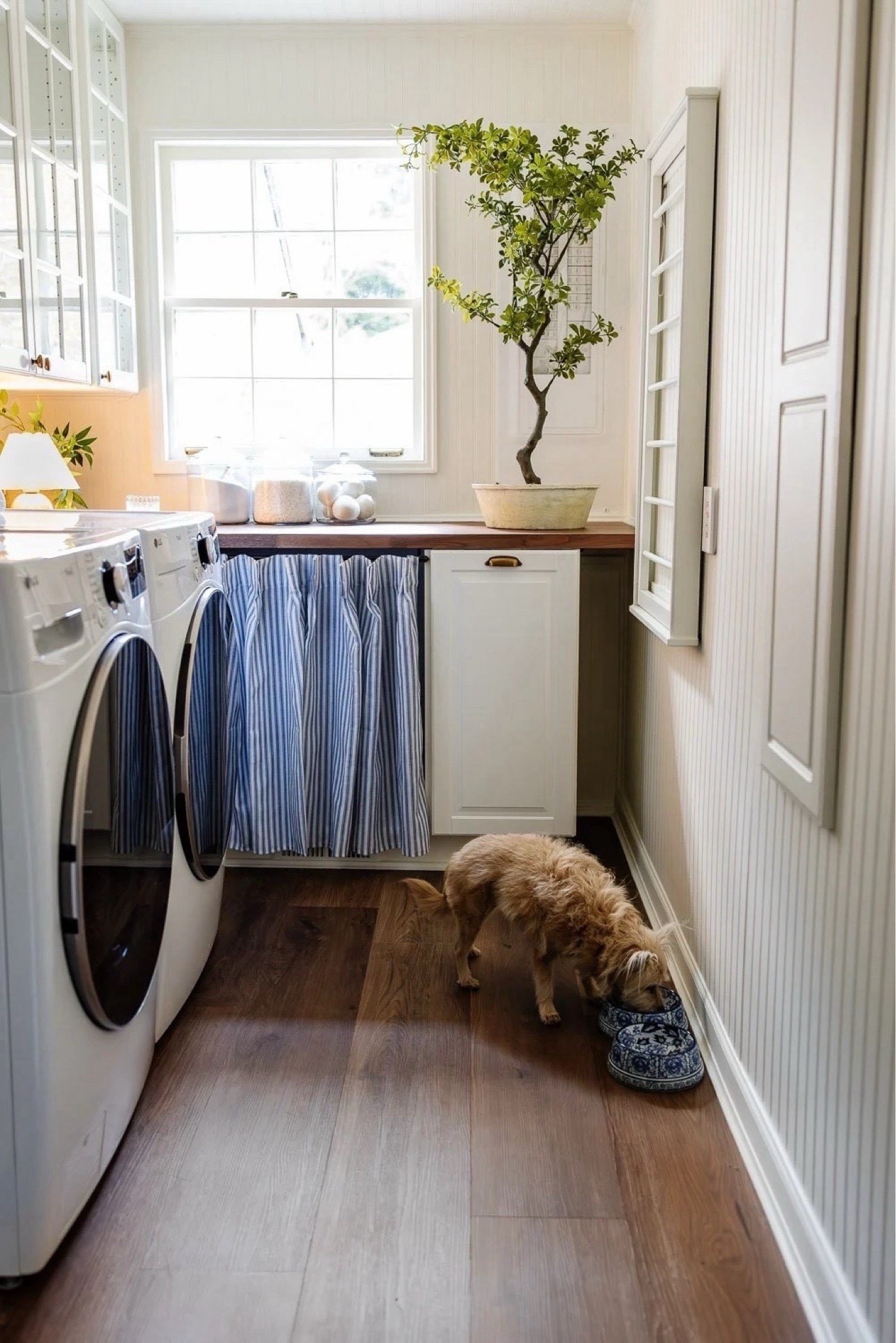 Its the small things 💙🤍

Laundry room, dog bowl, chinoiserie, Ballard , stripe curtains

#LTKHome