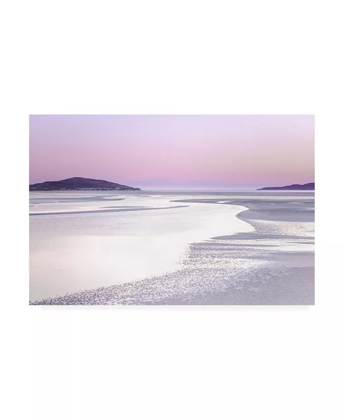 Lynne Dougla Silver Silence Canvas Art - 15.5" x 21" | Macy's