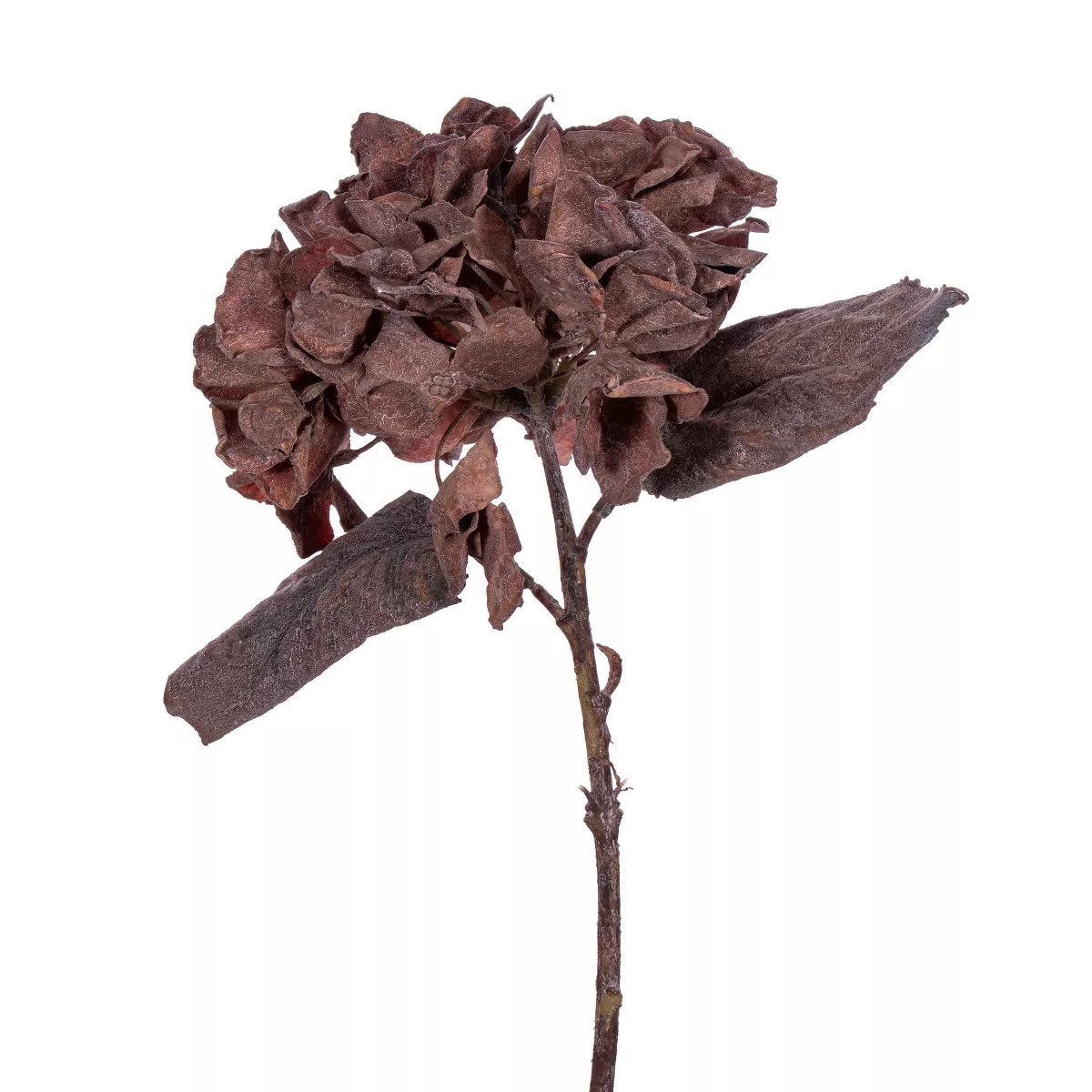 Vickerman Artificial 13" Dried Hydrangea Spray | Target