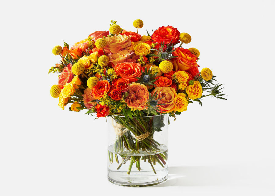 Triple The Firecracker | UrbanStems