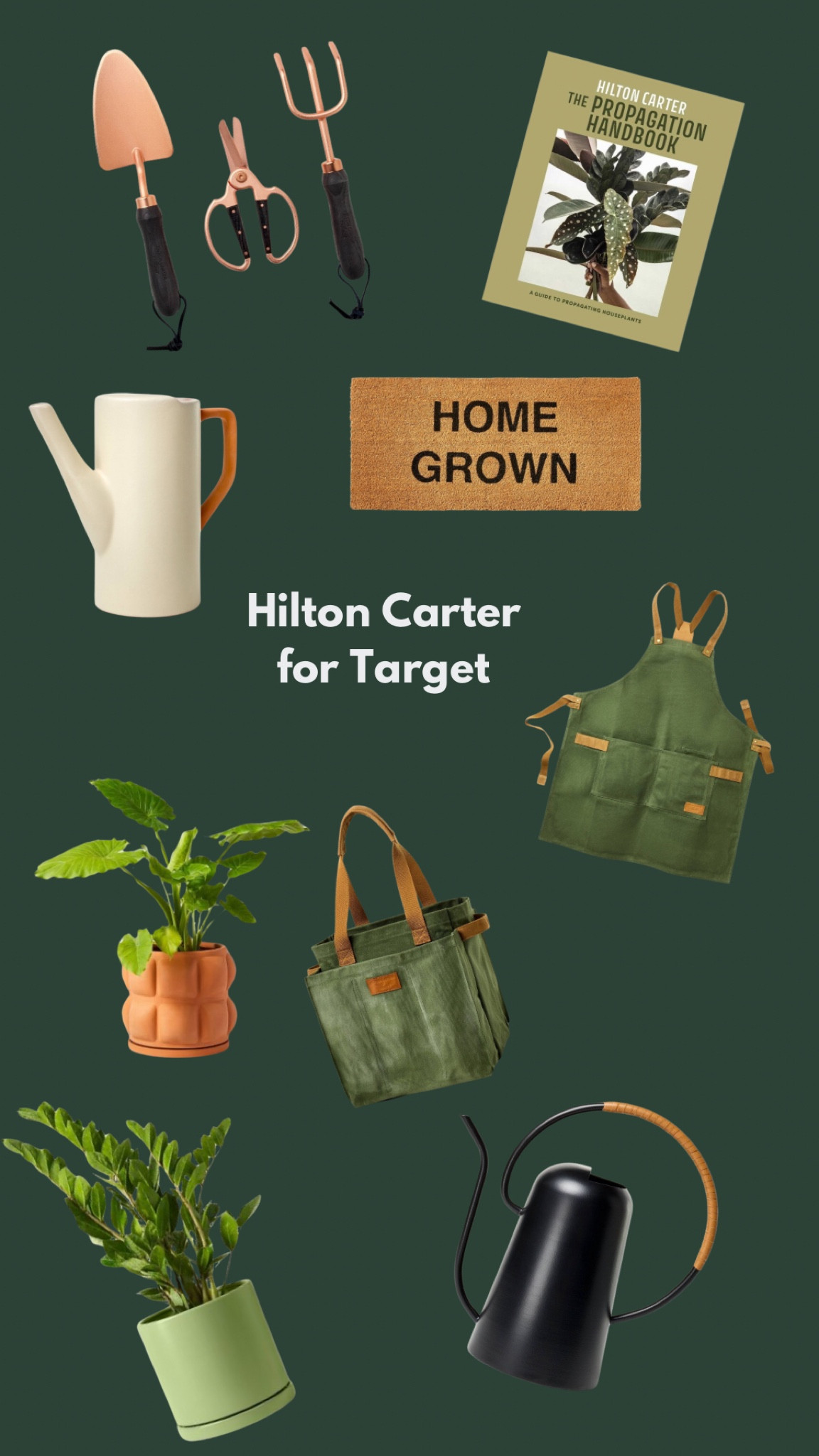 Hilton Carter garden goodies from Target! These are all so cute and stylish for indoor or outdoor gardening! #plants 

#LTKGiftGuide #LTKSeasonal #LTKFindsUnder50