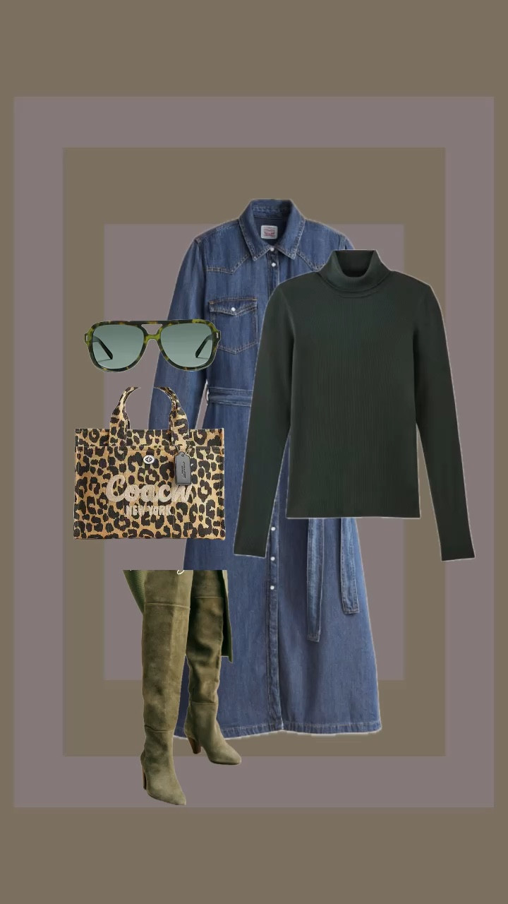 Denim Dress

#LTKautumn #LTKstyletip #LTKcanada