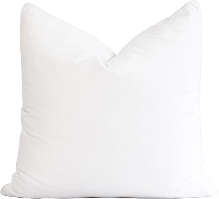 Crumbs Home Throw Pillow Insert, 22"x22" (for Cover Size 20"x20") Water Repllent Synthetic Down A... | Amazon (US)