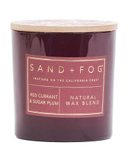 21oz Red Currant And Sugar Plum Candle | TJ Maxx